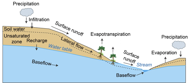 Diagram of the hydrologic cycle showing precipitation, interception, infiltration, evapotranspiration, surface runoff, subsurface flow, deep percolation, and streamflow pathways represented in WEPP.